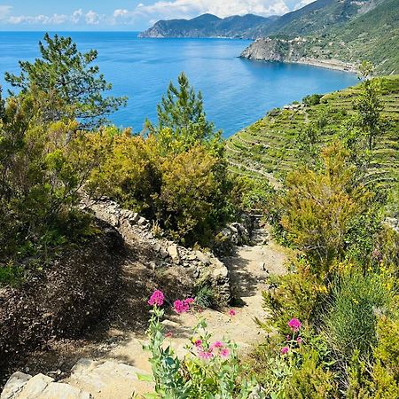 Al Castello Apartman Riomaggiore Kültér fotó