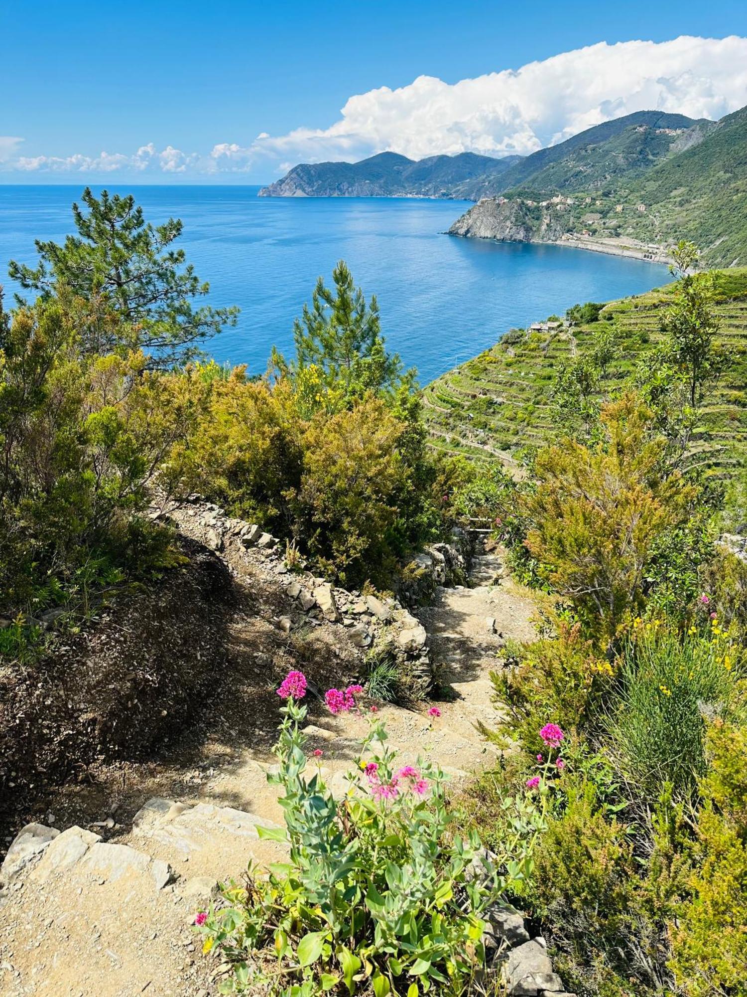 Al Castello Apartman Riomaggiore Kültér fotó